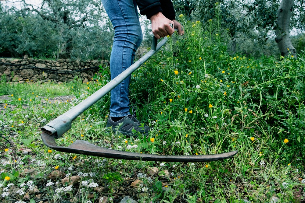 a man cutting grass in ground using big cutting tool